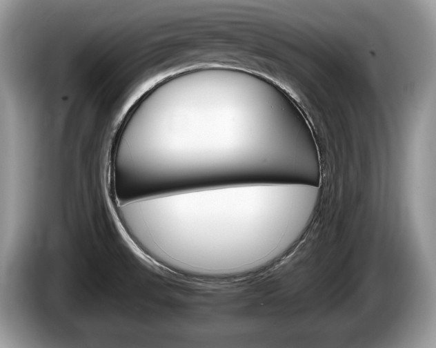 X0000087601523200704271034