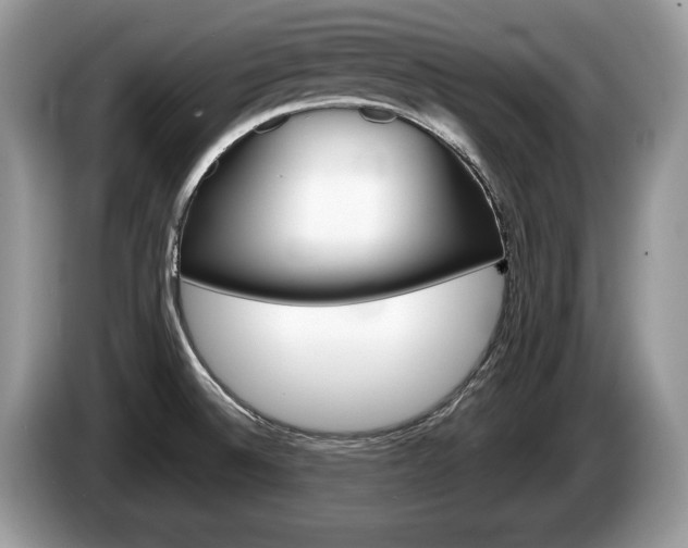 X0000087601524200704271034