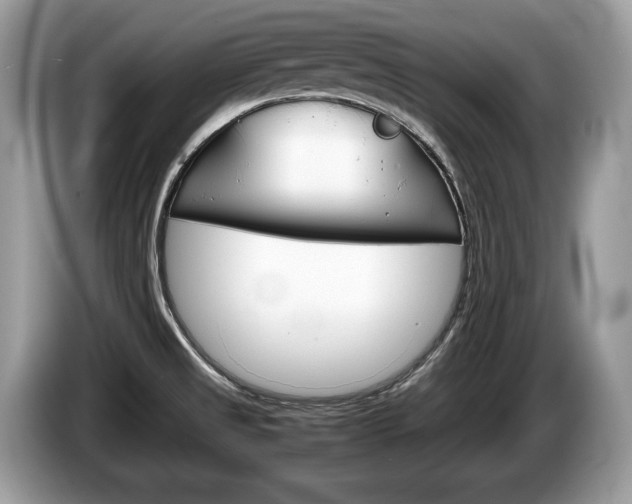 X0000087601525200704271034