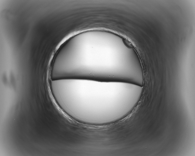 X0000087601526200704271034