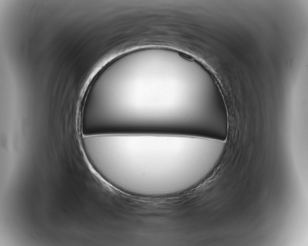X0000087601527200704271034