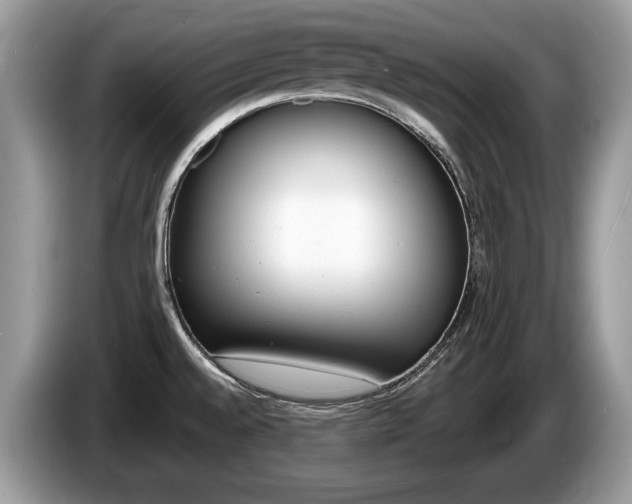 X0000087601528200704271034