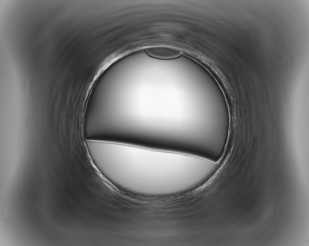 X0000087601529200704271034