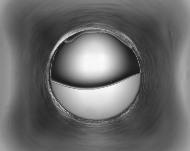 X0000087601530200704271034