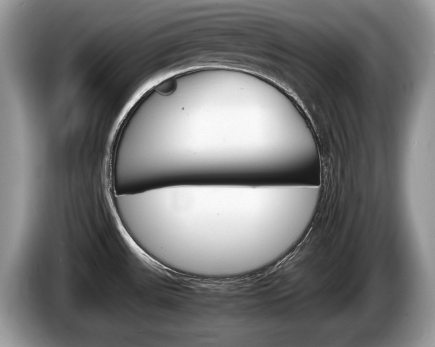 X0000087601531200704271034