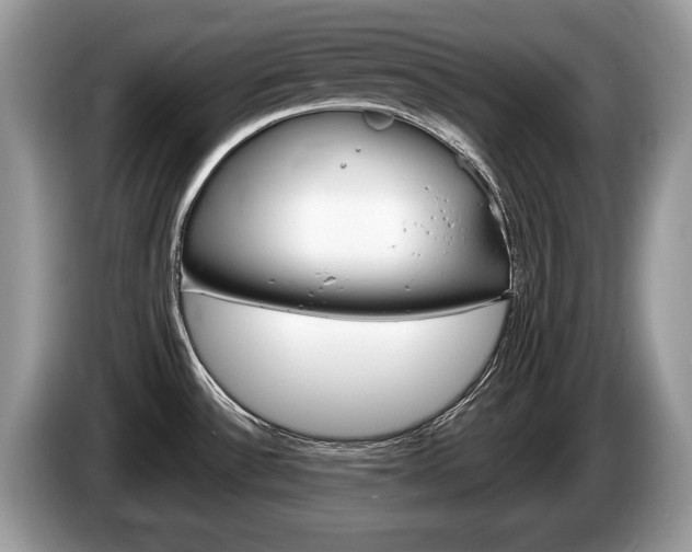 X0000087601532200704271034