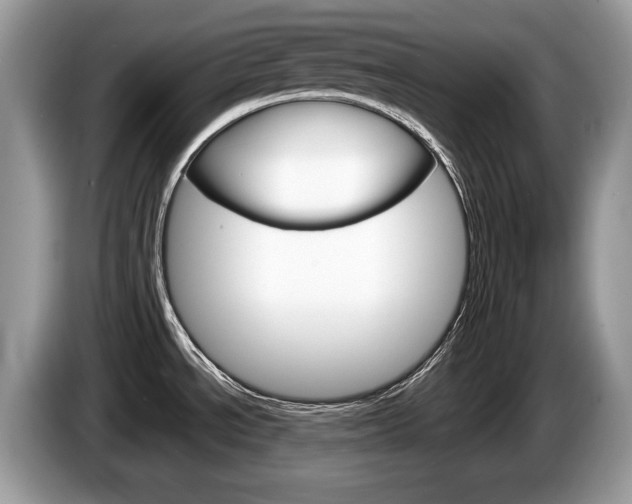 X0000087601534200704271034