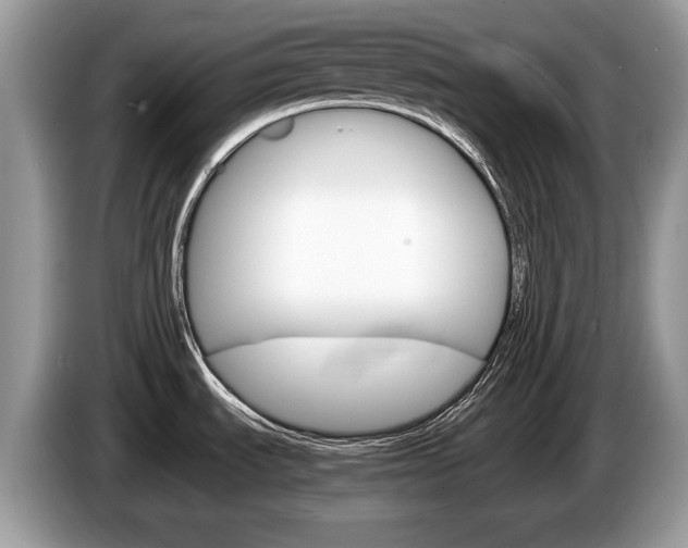 X0000087601535200704271034