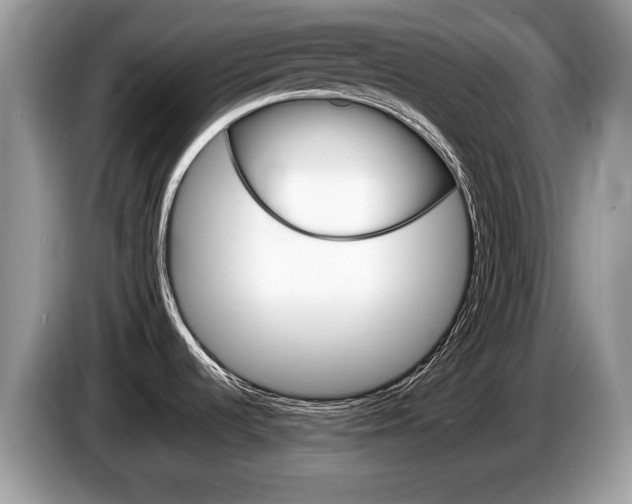 X0000087601536200704271034