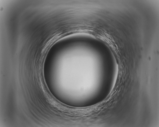 X0000087600001200704271344