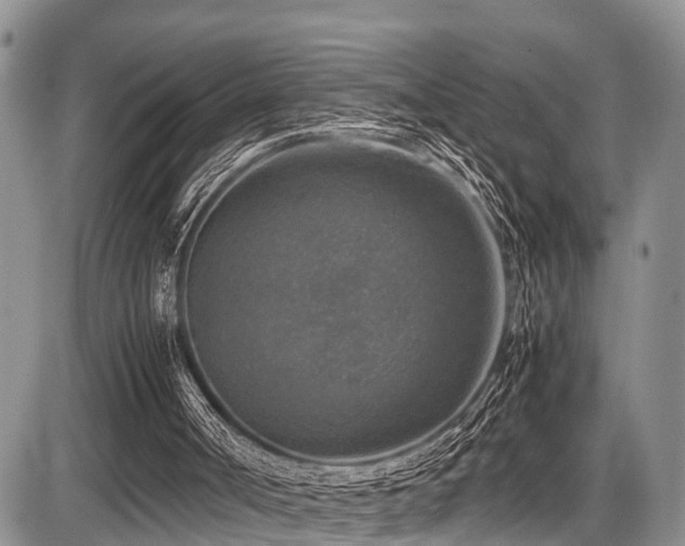 X0000087600002200704271344