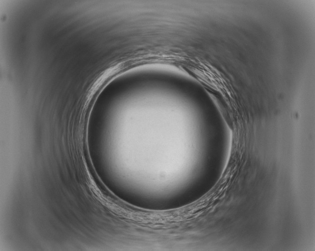 X0000087600003200704271344