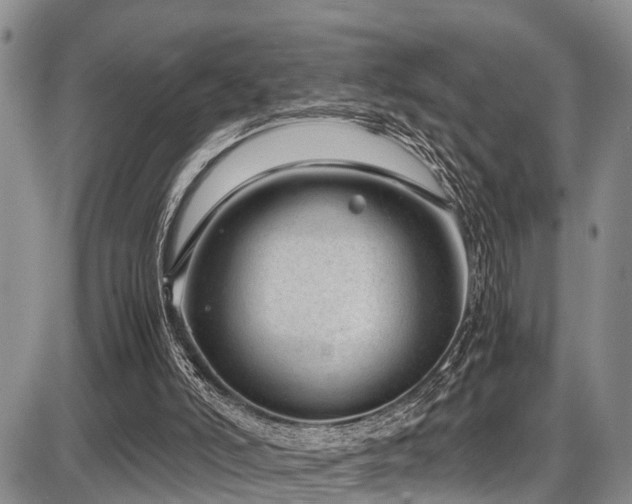 X0000087600006200704271344