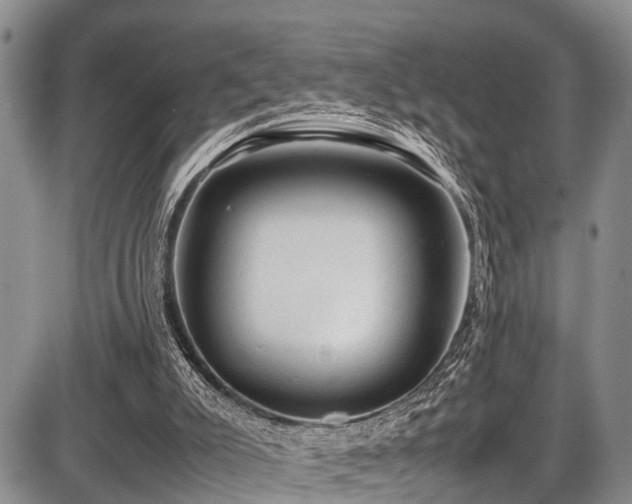 X0000087600007200704271344