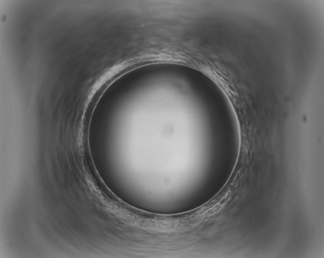 X0000087600008200704271344