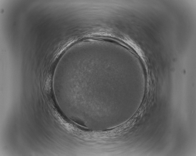 X0000087600009200704271344