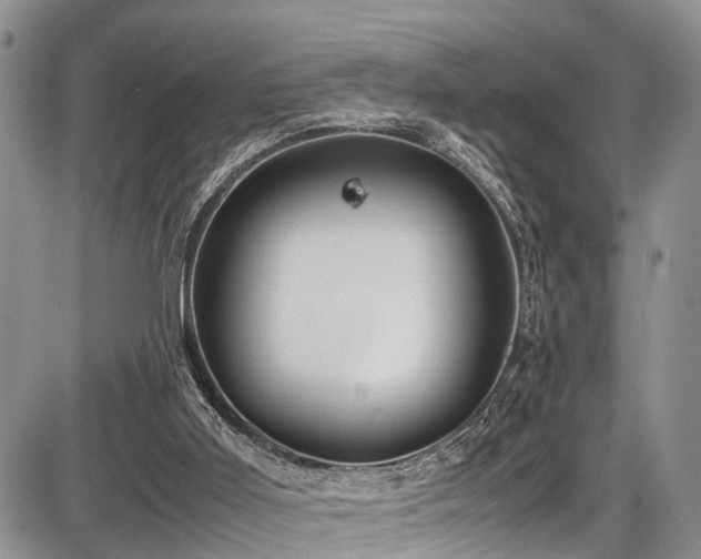 X0000087600011200704271344