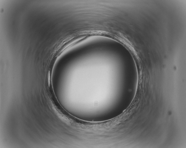 X0000087600013200704271344