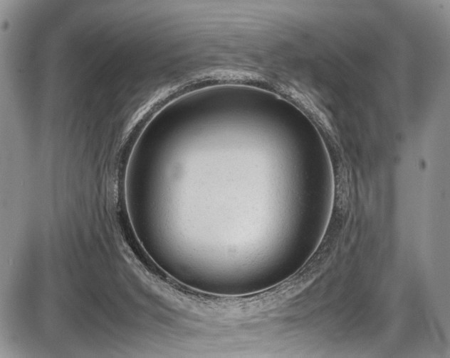 X0000087600015200704271344