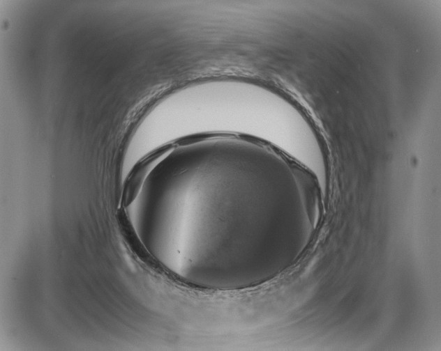 X0000087600019200704271344
