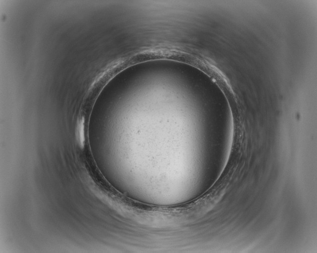 X0000087600020200704271344