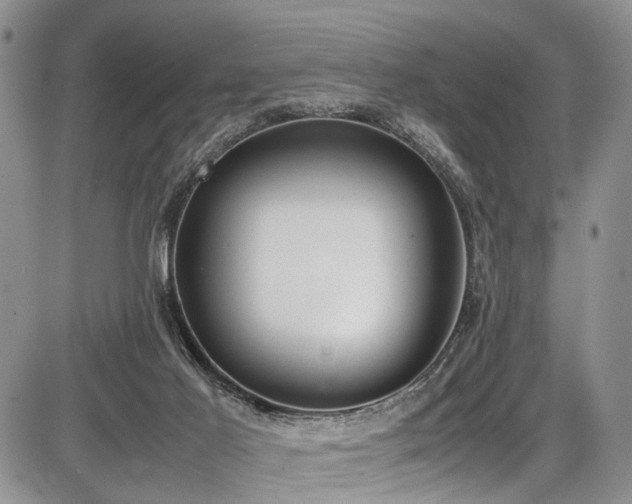 X0000087600021200704271343