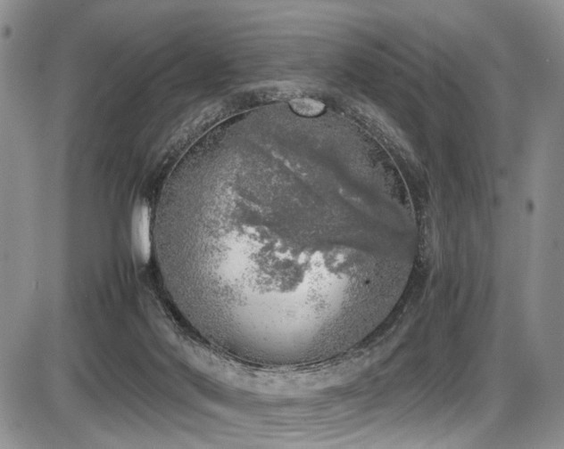 X0000087600022200704271343
