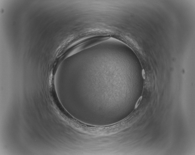 X0000087600023200704271343