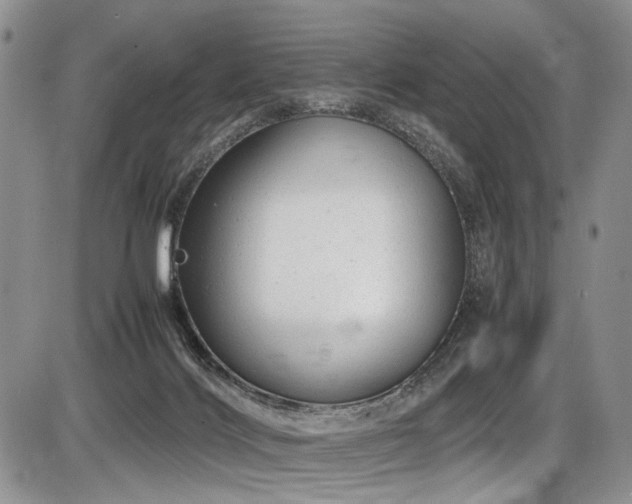 X0000087600028200704271343