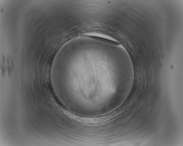 X0000087600030200704271343