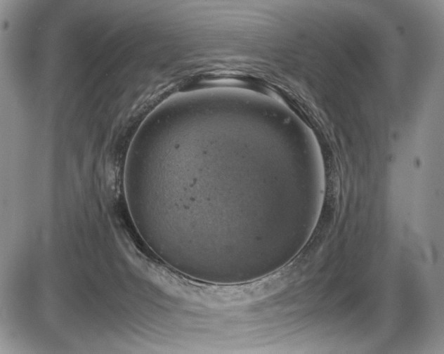 X0000087600031200704271343