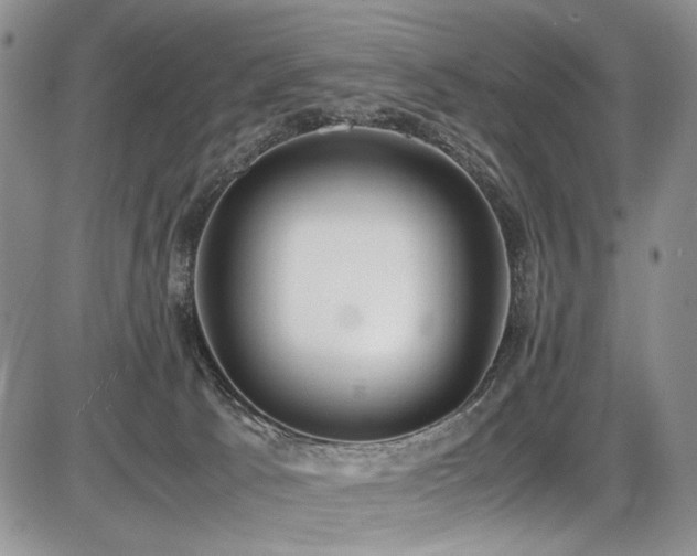 X0000087600033200704271343