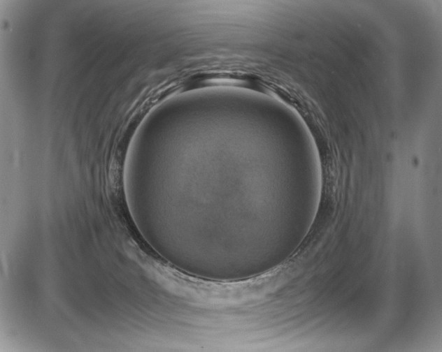X0000087600035200704271343