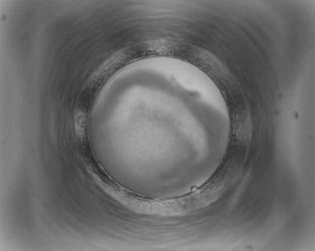 X0000087600036200704271343