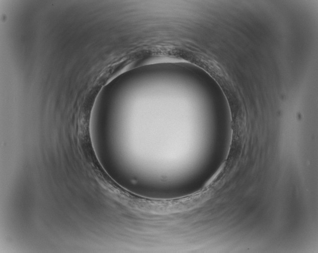 X0000087600037200704271343