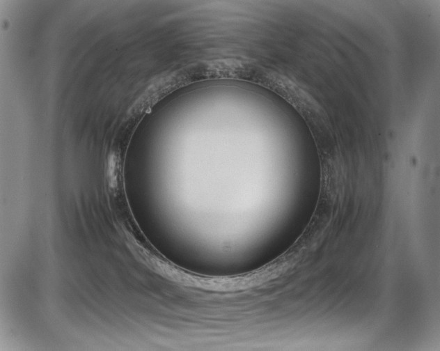 X0000087600038200704271343