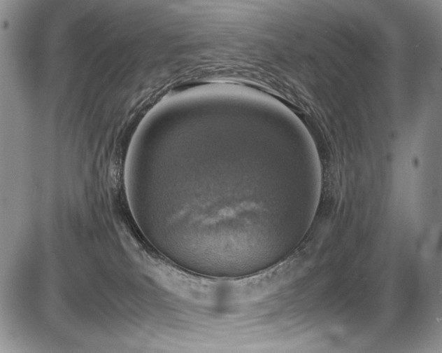 X0000087600039200704271343