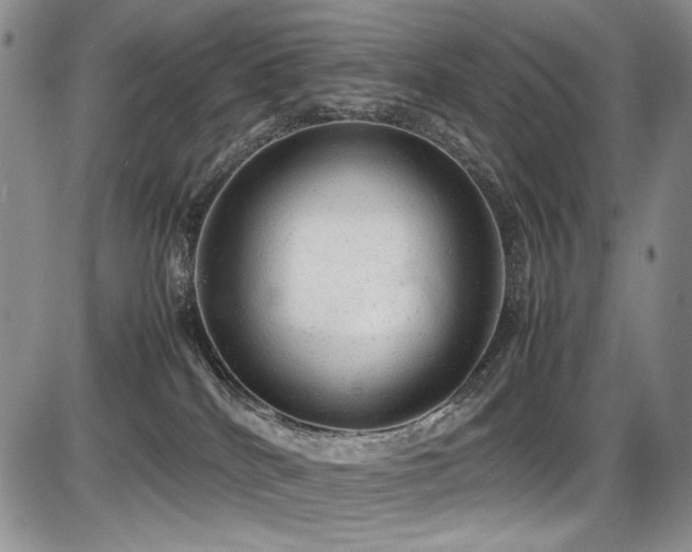 X0000087600040200704271343