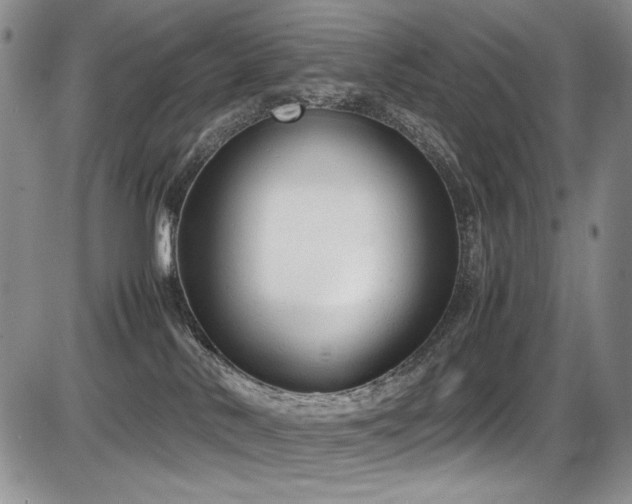 X0000087600042200704271343