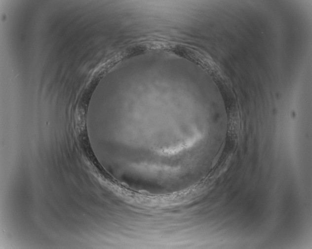 X0000087600043200704271343