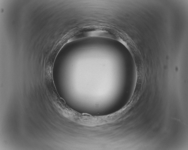 X0000087600045200704271343