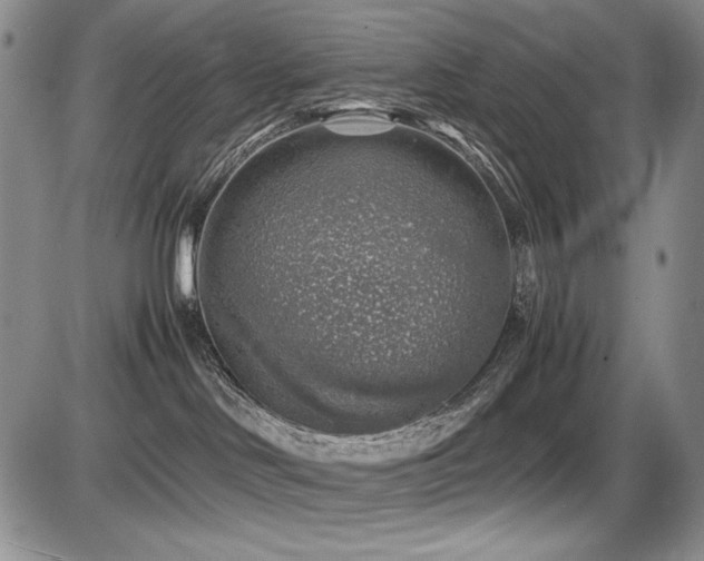 X0000087600046200704271343