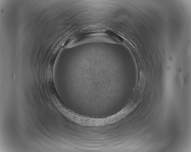 X0000087600048200704271343
