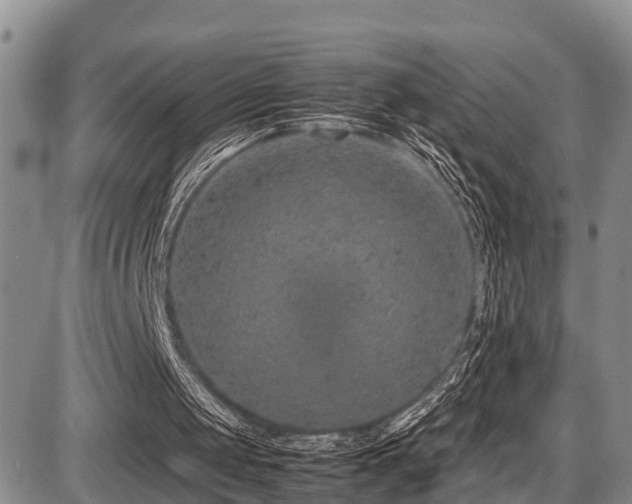 X0000087600049200704271342