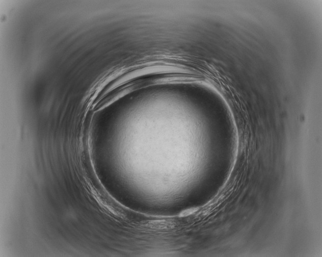 X0000087600050200704271342