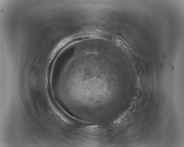 X0000087600054200704271342