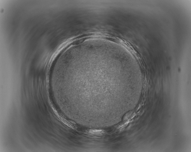 X0000087600055200704271342