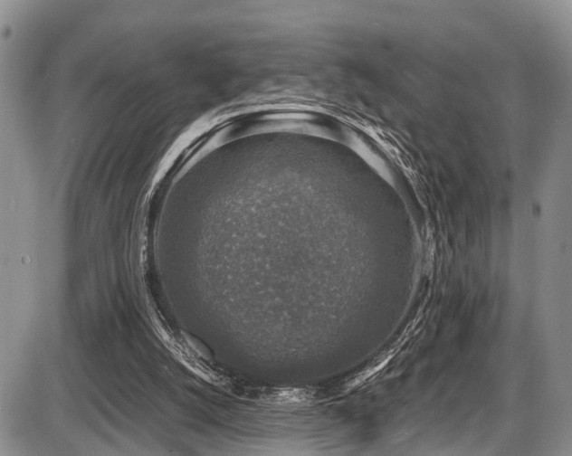 X0000087600056200704271342