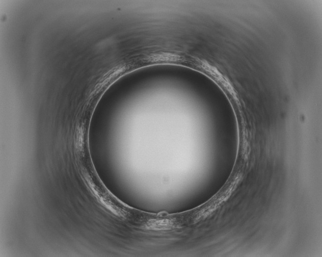 X0000087600057200704271342