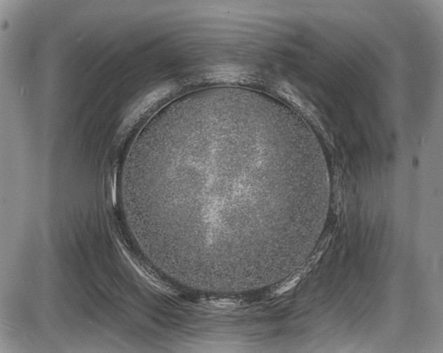 X0000087600062200704271342
